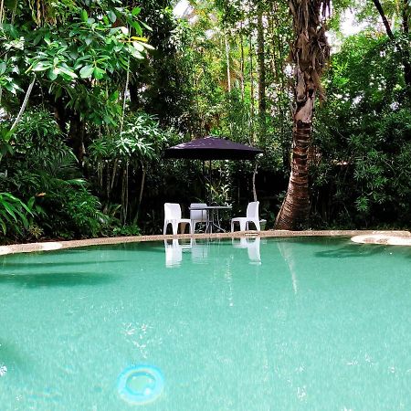 קאירנס Travellers Paradise מראה חיצוני תמונה The swimming pool at the Rainforest Ecolodge