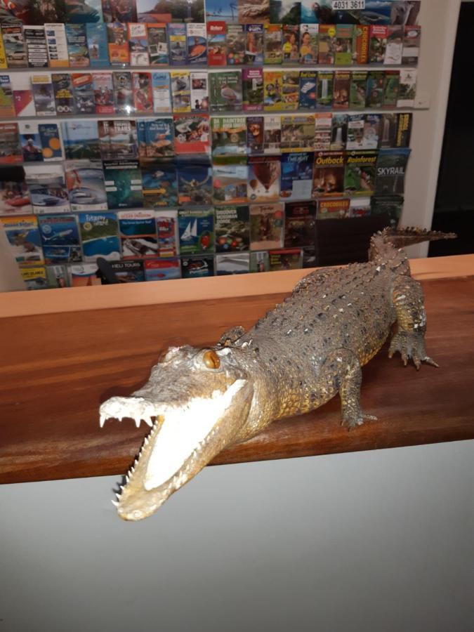 קאירנס Travellers Paradise מראה חיצוני תמונה A model of a saltwater crocodile