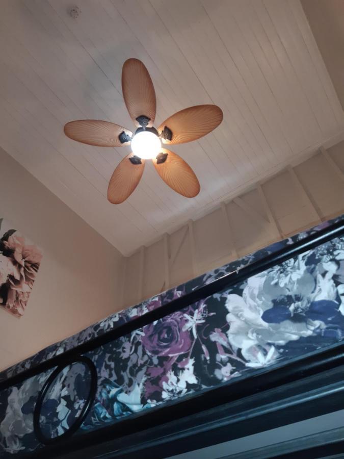 קאירנס Travellers Paradise מראה חיצוני תמונה A ceiling fan with a light kit