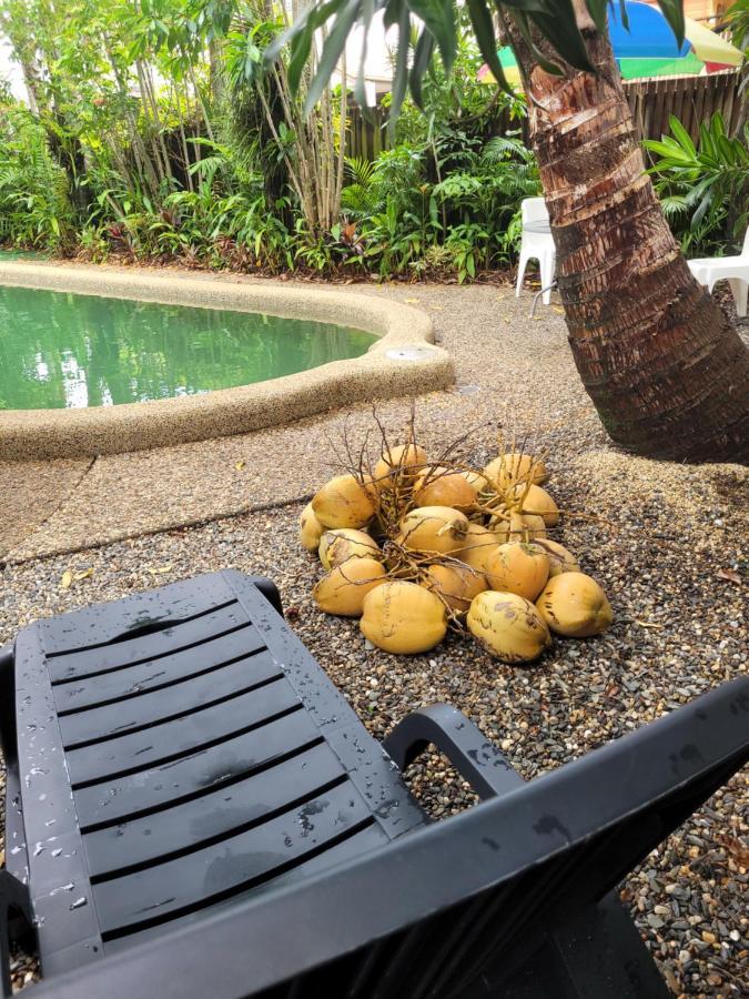 קאירנס Travellers Paradise מראה חיצוני תמונה Coconuts at a pool in Fiji