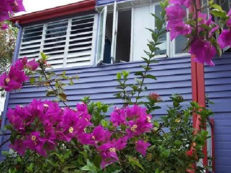 קאירנס Travellers Paradise מראה חיצוני תמונה Bougainvillea