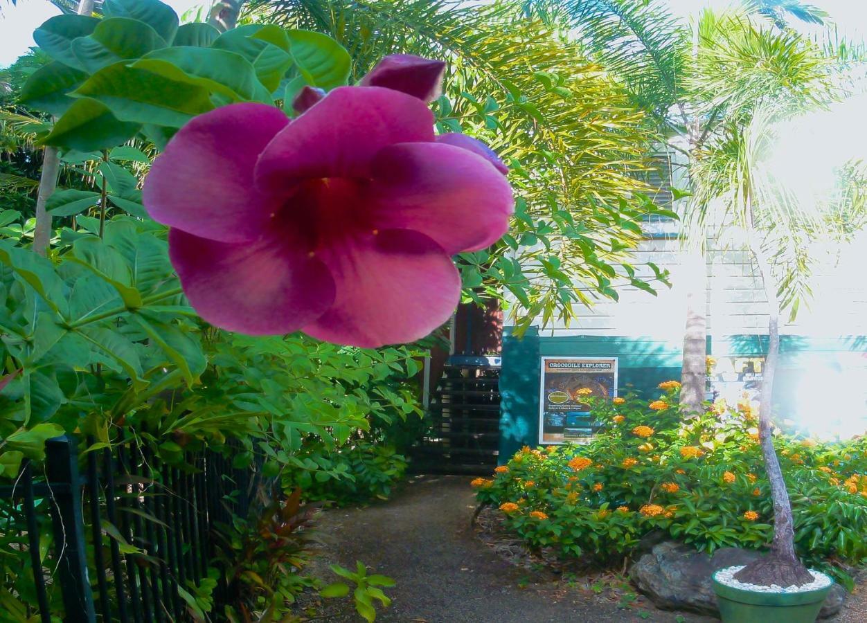 קאירנס Travellers Paradise מראה חיצוני תמונה A garden in Hawaii